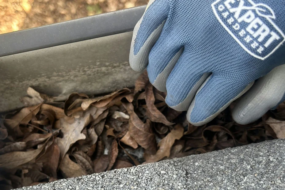 Gutter Cleaning Belle Chasse