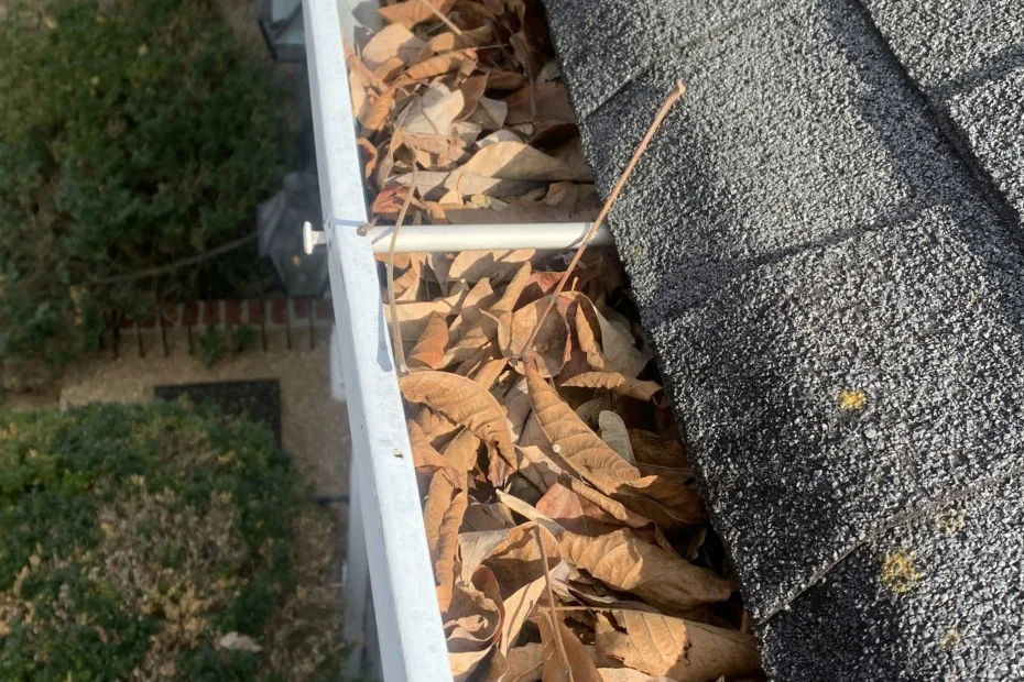 Gutter Cleaning Belle Chasse